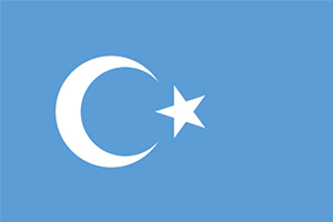 uyghurFlag